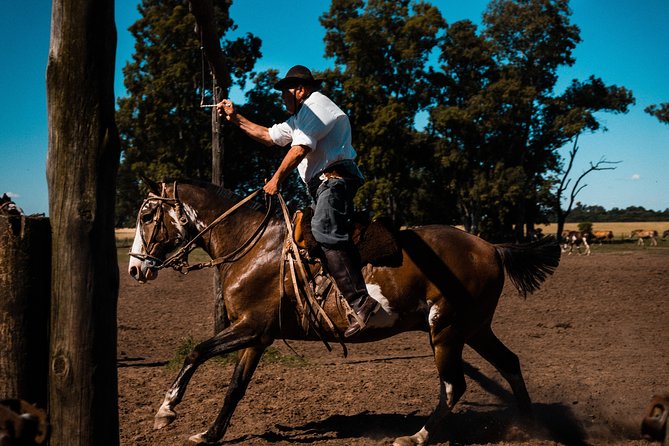 Gaucho Day Trip from Buenos Aires: Santa Susana Ranch - Getting to the ranch: the 9:30 am start and pampas ride