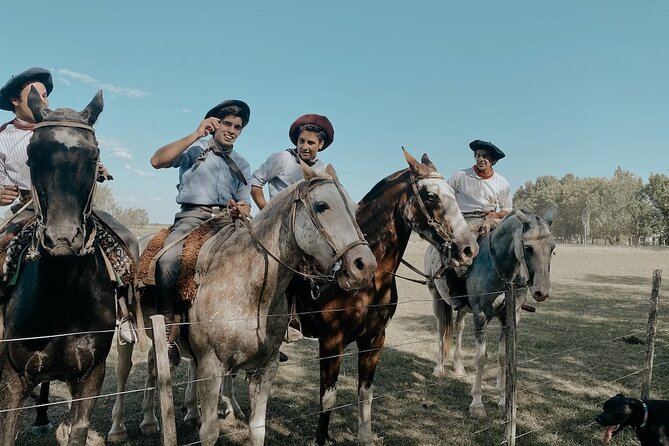Gaucho Experience: A Day Trip to Don Silvano Ranch - Gaucho activities: what the horseback riding is like