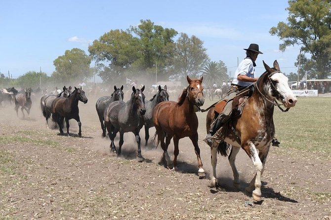 Gaucho Experience: A Day Trip to Don Silvano Ranch - Entering Estancia Don Silvano: the welcome reception and quick ranch primer