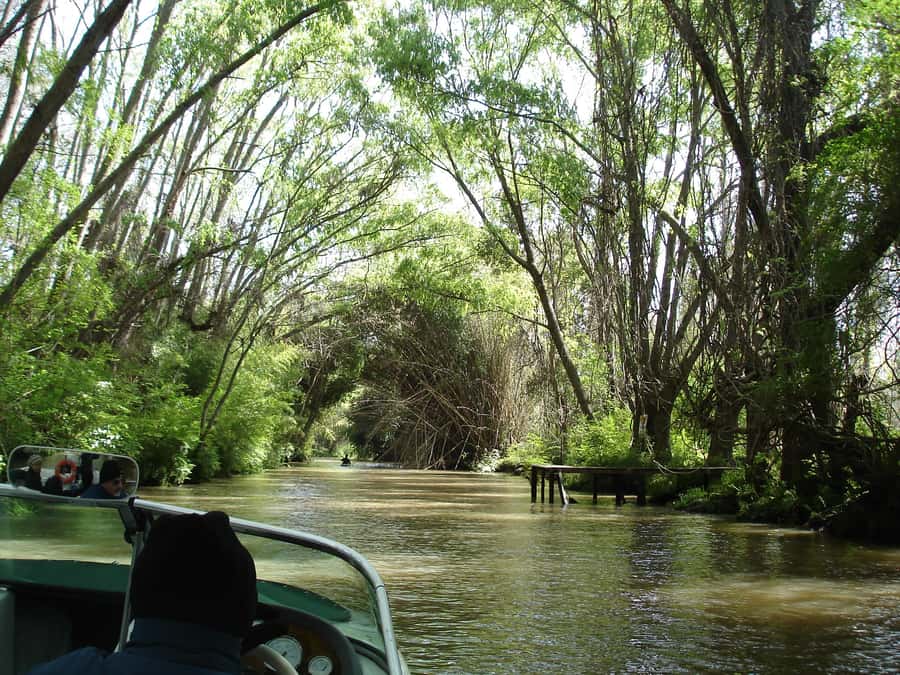 Navigation in Delta of Tigre - Exclusive semi private tour - Getting to Tigre: pickup, travel time, and what feels easy