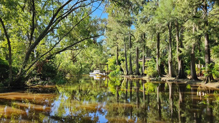 Navigation in Delta of Tigre - Exclusive semi private tour - The Delta from the water: why a small speedboat changes everything