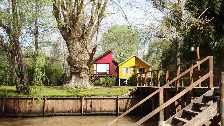 Navigation in Delta of Tigre - Exclusive semi private tour - Wildlife spotting: how to get better photos without chasing it