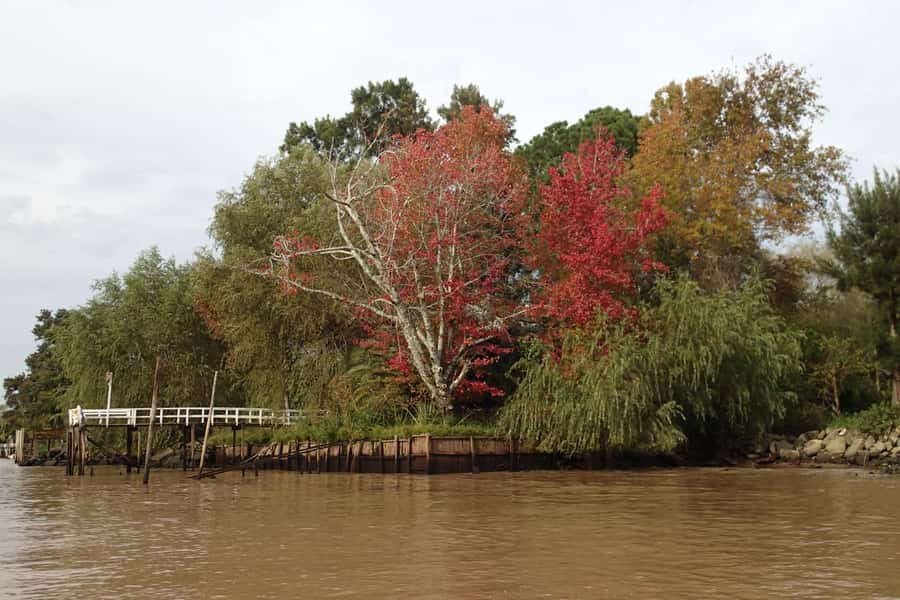 Navigation in Delta of Tigre - Exclusive semi private tour - Snack, swimming in summer, and the comfort factor
