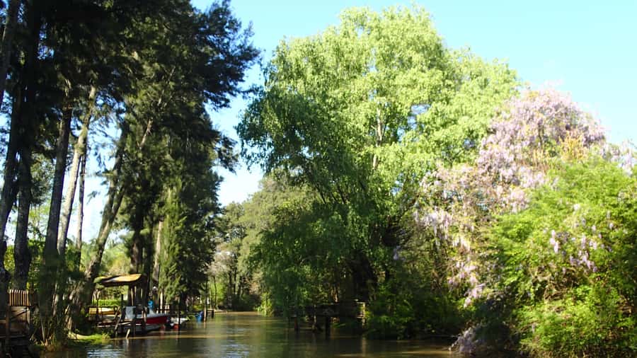 Navigation in Delta of Tigre - Exclusive semi private tour - Price and value: what $135 buys you in the real world