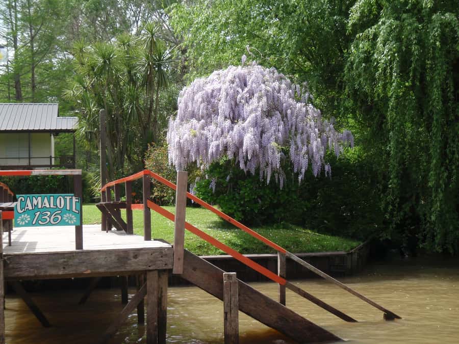 Navigation in Delta of Tigre - Exclusive semi private tour - Who should book this tour (and who should skip it)