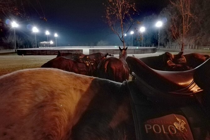 Polo Under the Stars and Argentine BBQ Evening Venue from Buenos Aires - Key things I’d spotlight before you go
