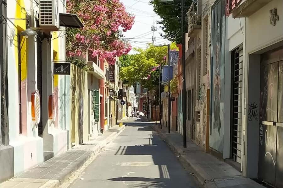 Premium Argentinian Wine and Malbec Tasting & Urban Art Tour - Palermo Soho + Malbec in 3 hours: a smart combo