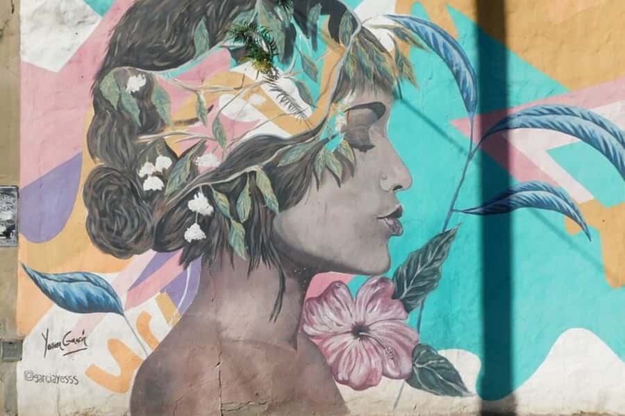 Premium Argentinian Wine and Malbec Tasting & Urban Art Tour - Meeting at Gorriti 4882 (and why 4886 might appear)