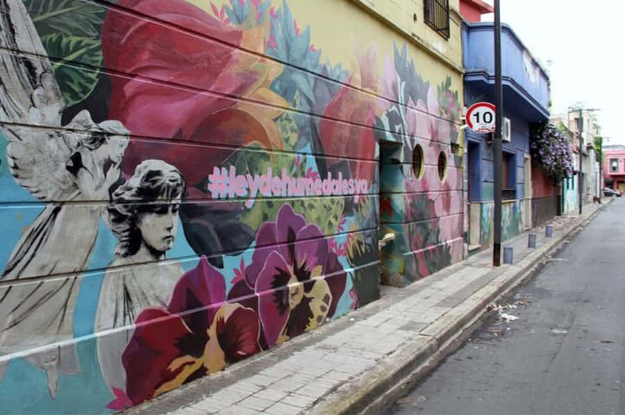 Premium Argentinian Wine and Malbec Tasting & Urban Art Tour - The wine tasting portion: Malbec plus Argentina’s other stars