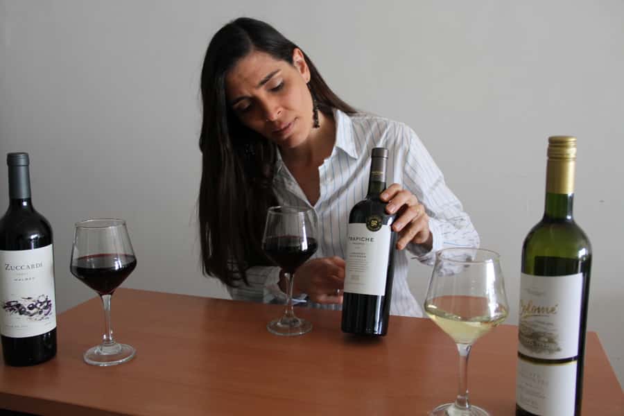 Premium Argentinian Wines and Malbec Tasting Experience - Price and Value: Why $50 Can Be a Good Deal