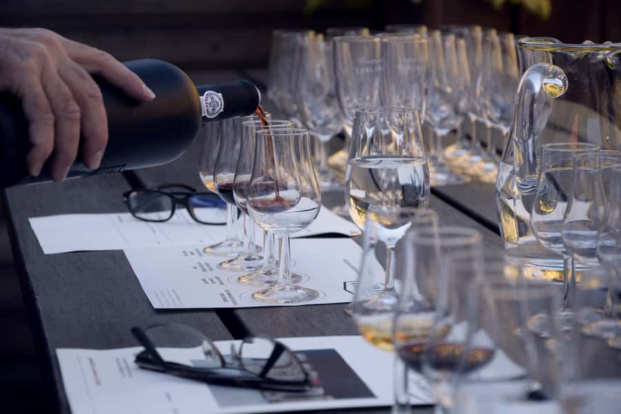 Premium Argentinian Wines and Malbec Tasting Experience - Weather-Proof Plans and Pacing That Doesn’t Drag