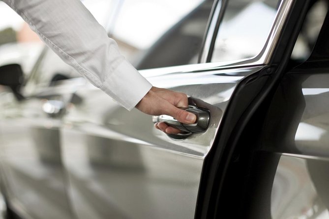 Private Arrival Transfer: Ezeiza Airport to Buenos Aires Hotels - Who This Transfer Suits Best in Buenos Aires