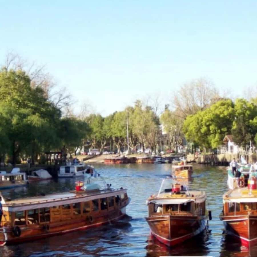 Private City Tour of Buenos Aires + Tigre Delta - El Ateneo Grand Splendid: a photo stop that’s worth turning into a visit