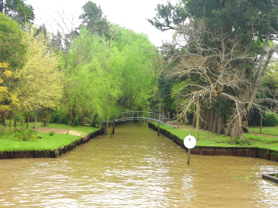Private Day Trip to Tigre Delta from Buenos Aires - Private boat vs shared cruise: when the upgrade is worth the money