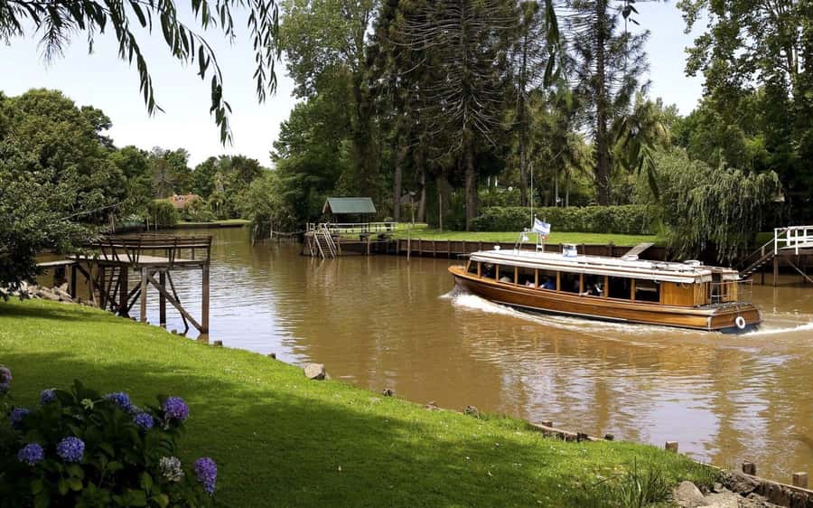 Private Day Trip to Tigre Delta from Buenos Aires - Languages and guide style: why it affects your day in Argentina