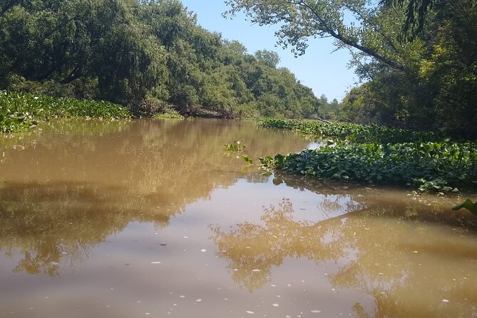 Safari náutico en tigre - Tigre’s Delta: why this “nautical safari” feels like a real experience