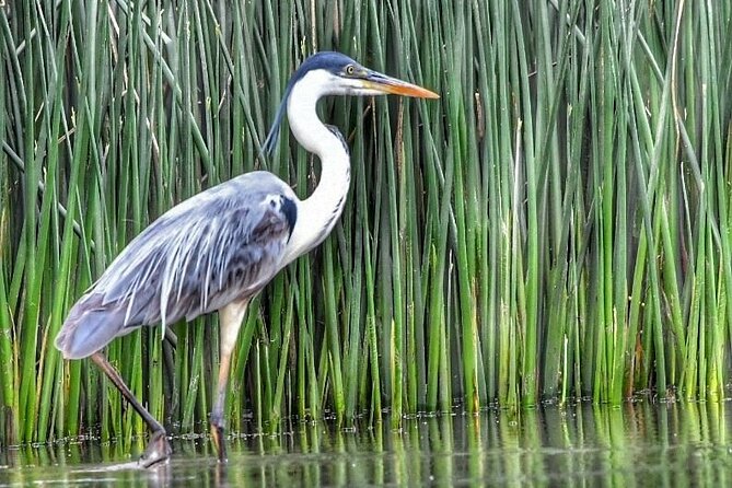 Safari náutico en tigre - Price and value: is $150 per person a good deal here?