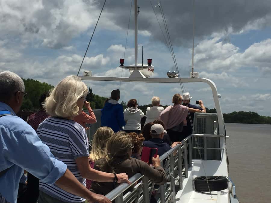 Tigre Delta: Half-Day Tour and Boat Trip - Boarding the catamaran in Tigre: what you’re really paying for
