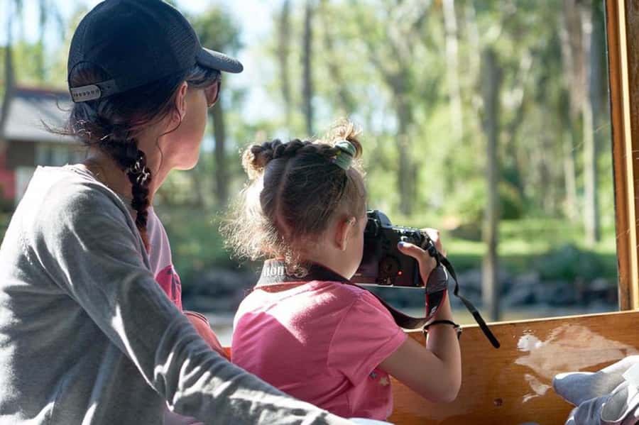Tigre: River Delta Panoramic Boat Tour - Key things to know before you go