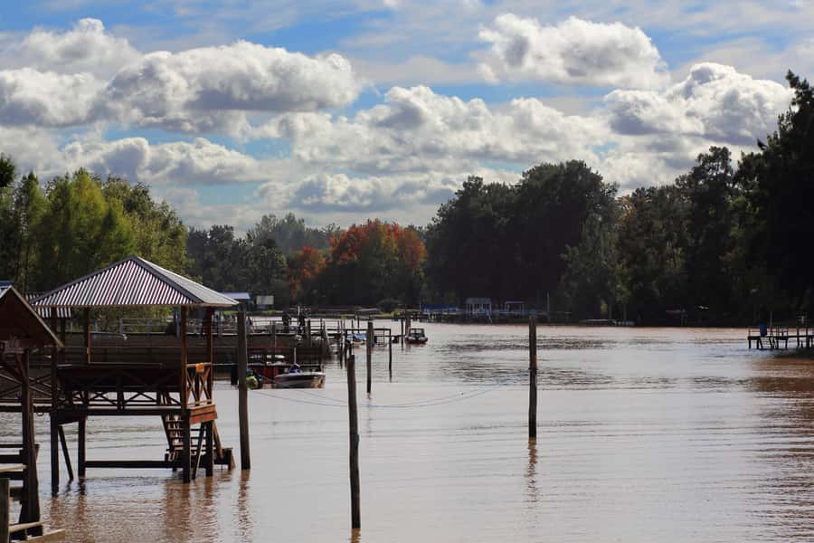 Tigre: River Delta Panoramic Boat Tour - Why this Tigre Delta boat ride feels worth the time