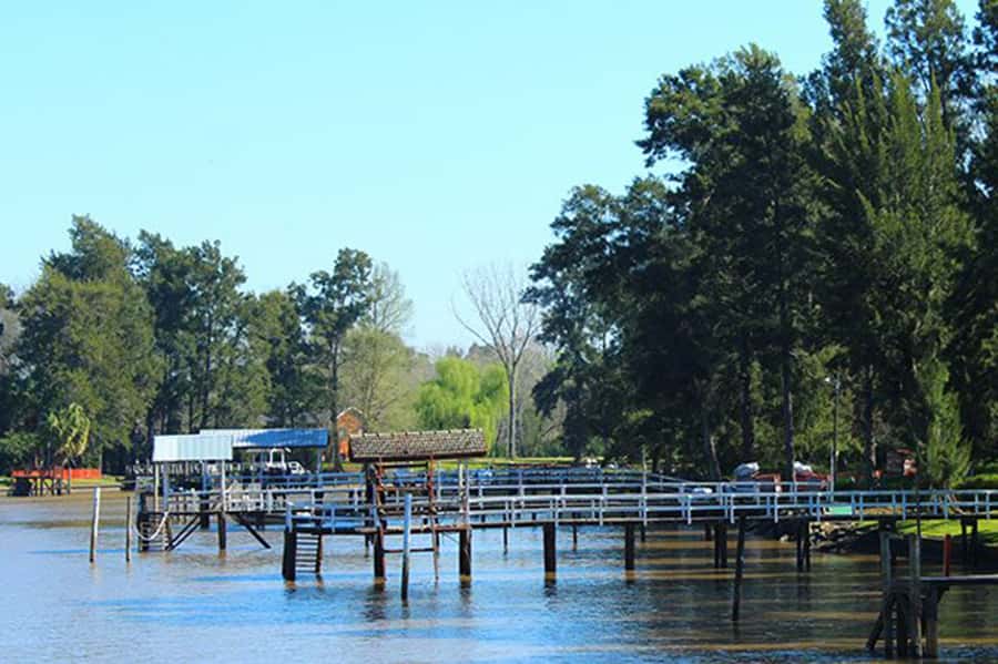 Tigre: River Delta Panoramic Boat Tour - Tigre station logistics: where you board and how to avoid stress