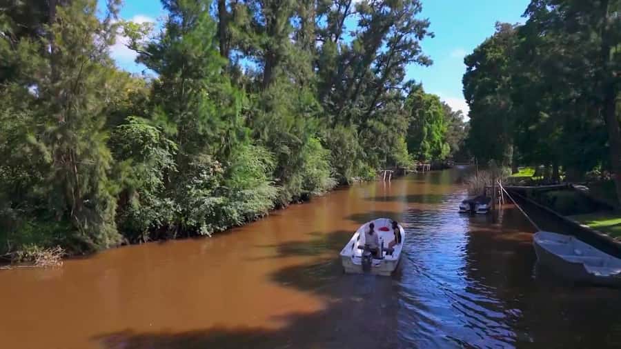 Tigre: Safari Náutico en Tigre/ Biosphere Reserve Boat Tour - Key Things That Make This Tigre Boat Safari Worth Your Time
