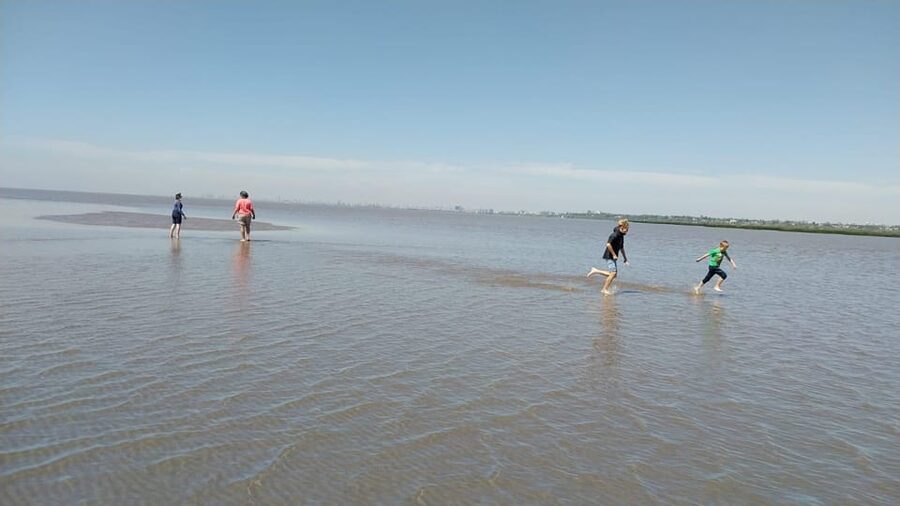 Tigre: Safari Náutico en Tigre/ Biosphere Reserve Boat Tour - Delta Terra Photo Stop + Visit (30 Minutes): Where the Day Tightens