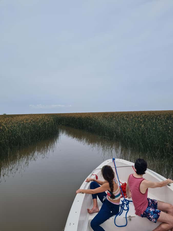 Tigre: Safari Náutico en Tigre/ Biosphere Reserve Boat Tour - Entering Tigre’s Delta Reserve: What This Trip Feels Like