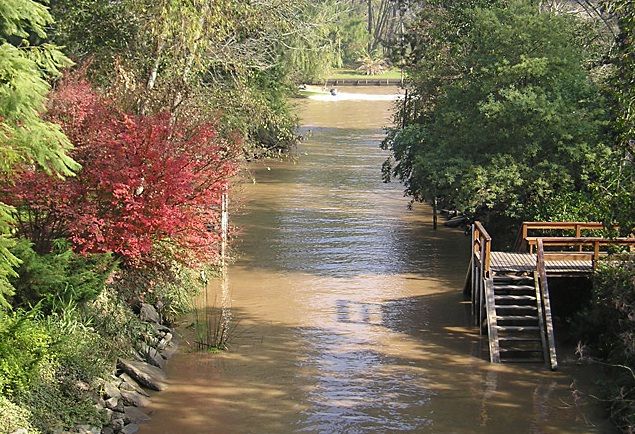 Tigre with Lunch overlooking the River and Navigation - Boat Navigation Through the Delta and Río de la Plata: The Part You’ll Remember
